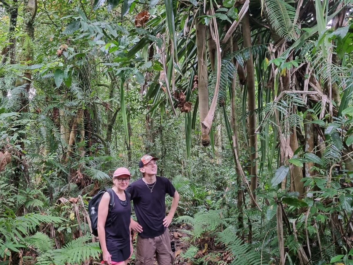 Trekking Hutan Hujan Gunung Batukaru Bali bersama Eco Wana Lestari — foto 1
