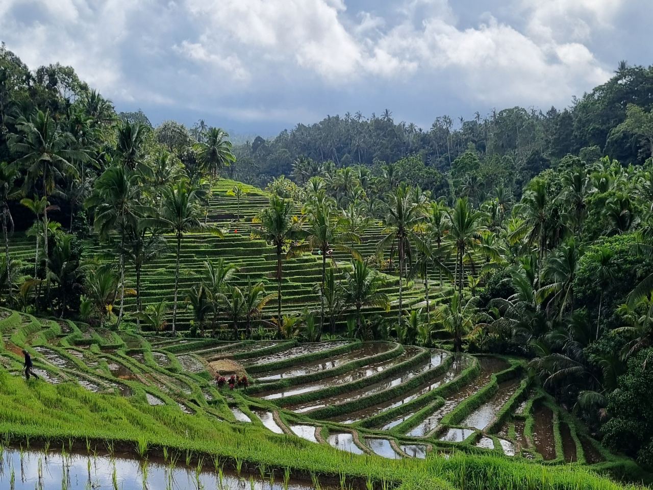 3 Aktivitas Wajib di Tabanan: Trekking Batukaru & Desa — foto 2