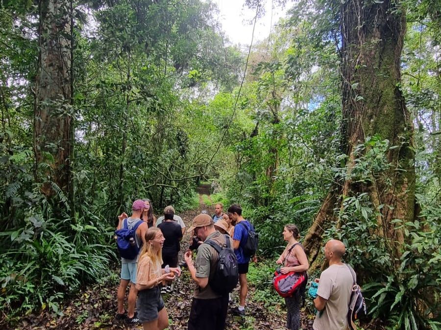 Aktivitas Otentik Hutan & Desa di Bali selain Tempat Hits — foto 3