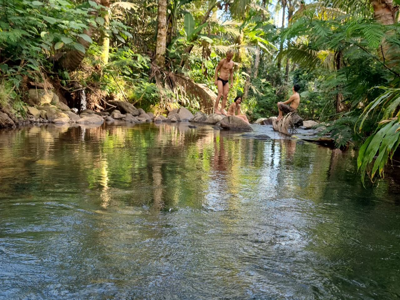 Aktivitas Otentik Hutan & Desa di Bali selain Tempat Hits — foto 1