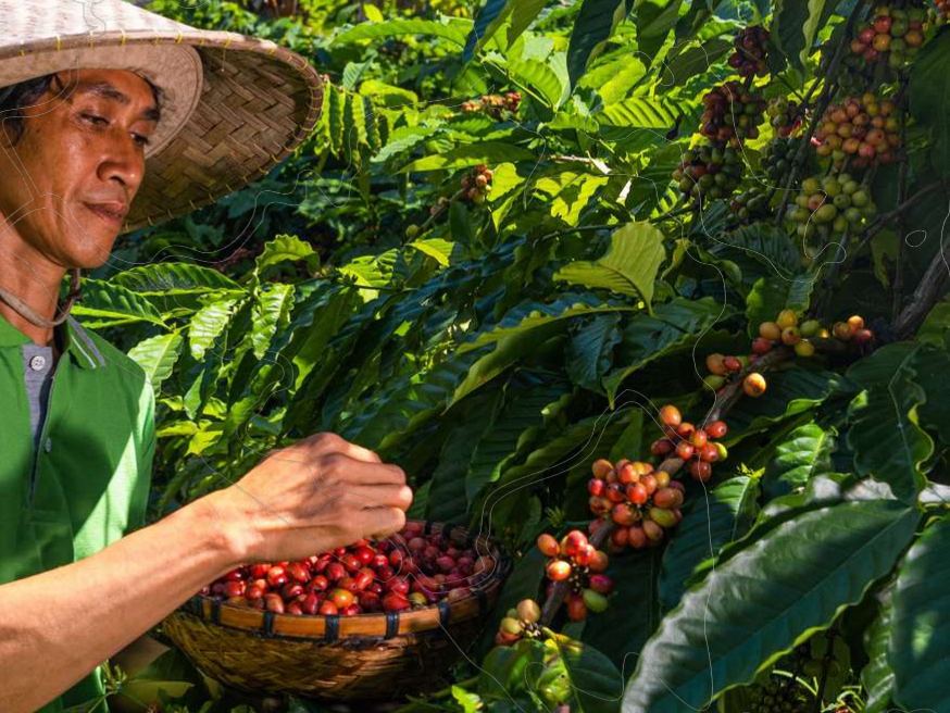Talasi Estate: Kuliner farm-to-table di kaki Gunung Batukaru — foto 6