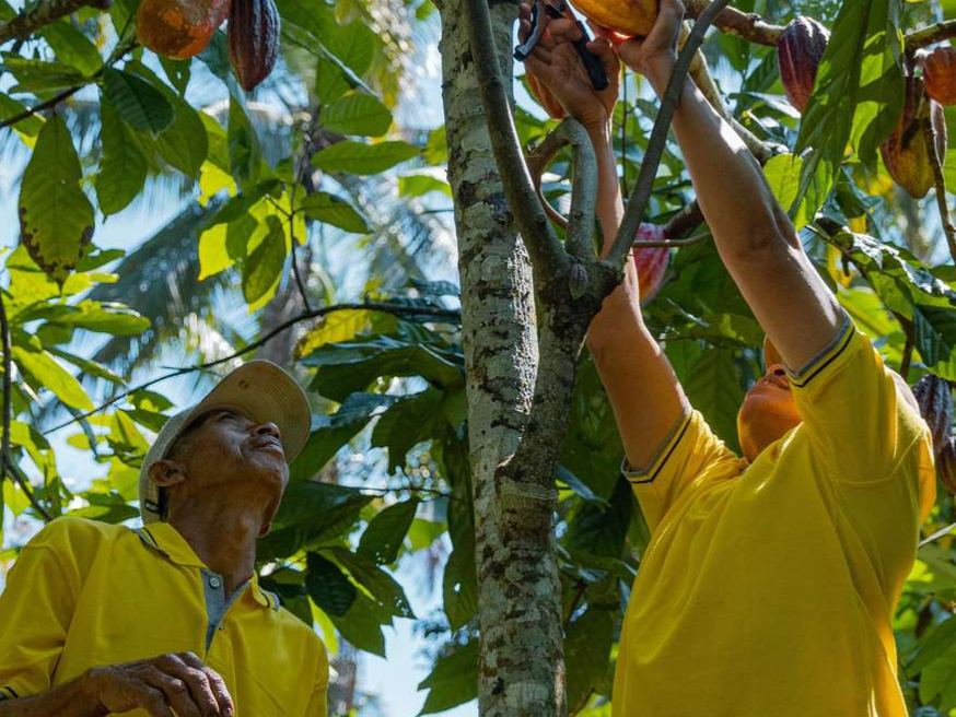 Talasi Estate: Kuliner farm-to-table di kaki Gunung Batukaru — foto 4
