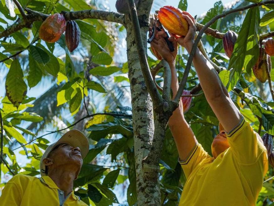 Cara Booking Kuliner Talasi dan Ikut Sesi Cicip Produk di Balitrip.id — foto 2